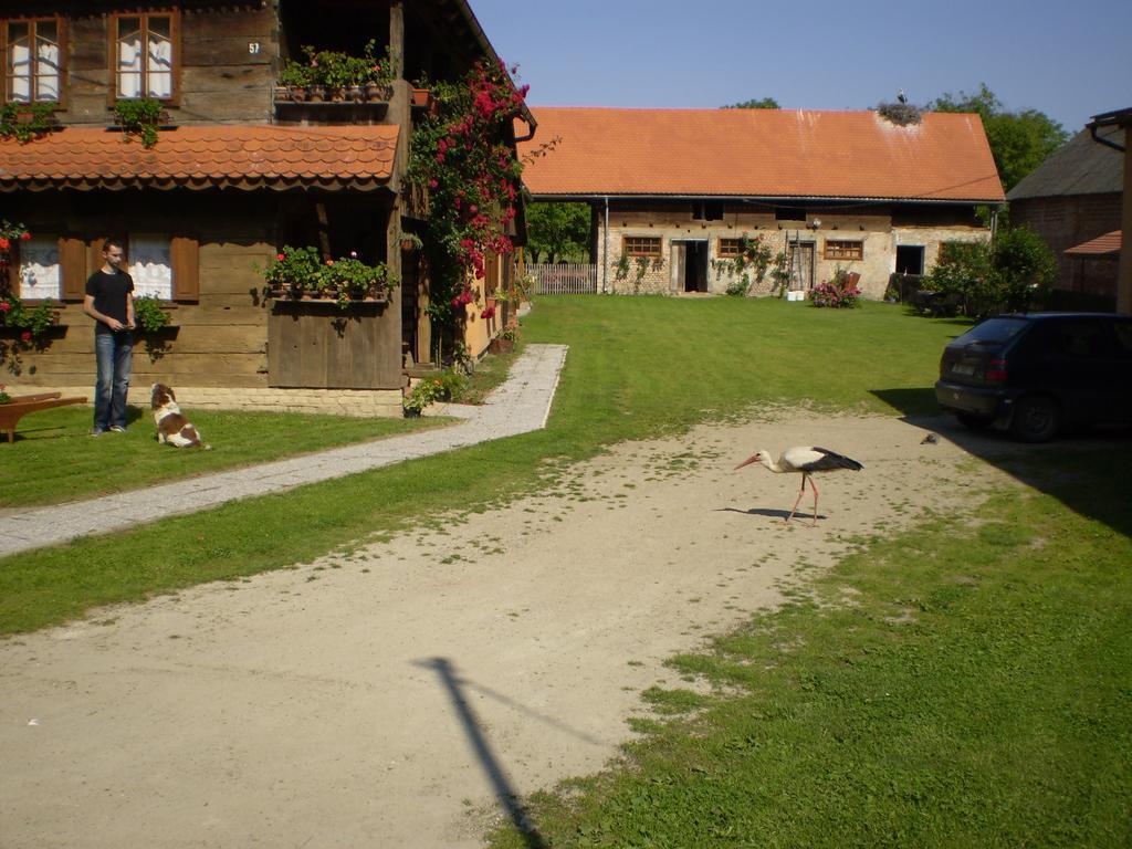 Čigoč Apartments Iza Na Trem מראה חיצוני תמונה